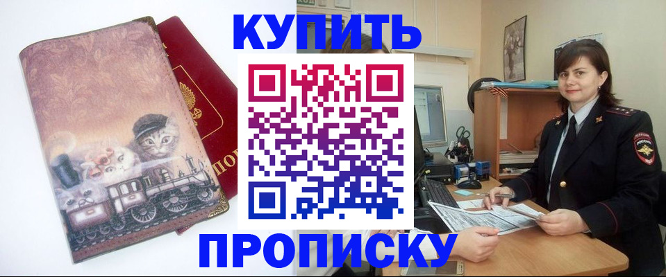 прописка в Щёлково